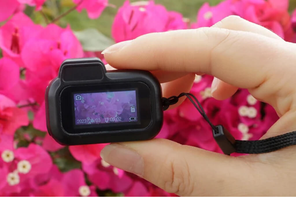 tinycam virágok fotózása